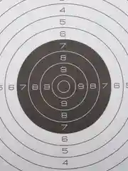 Мишень, 50 см х 50 см