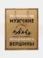 Коричневый подарочный пакет, 49 х 40 см