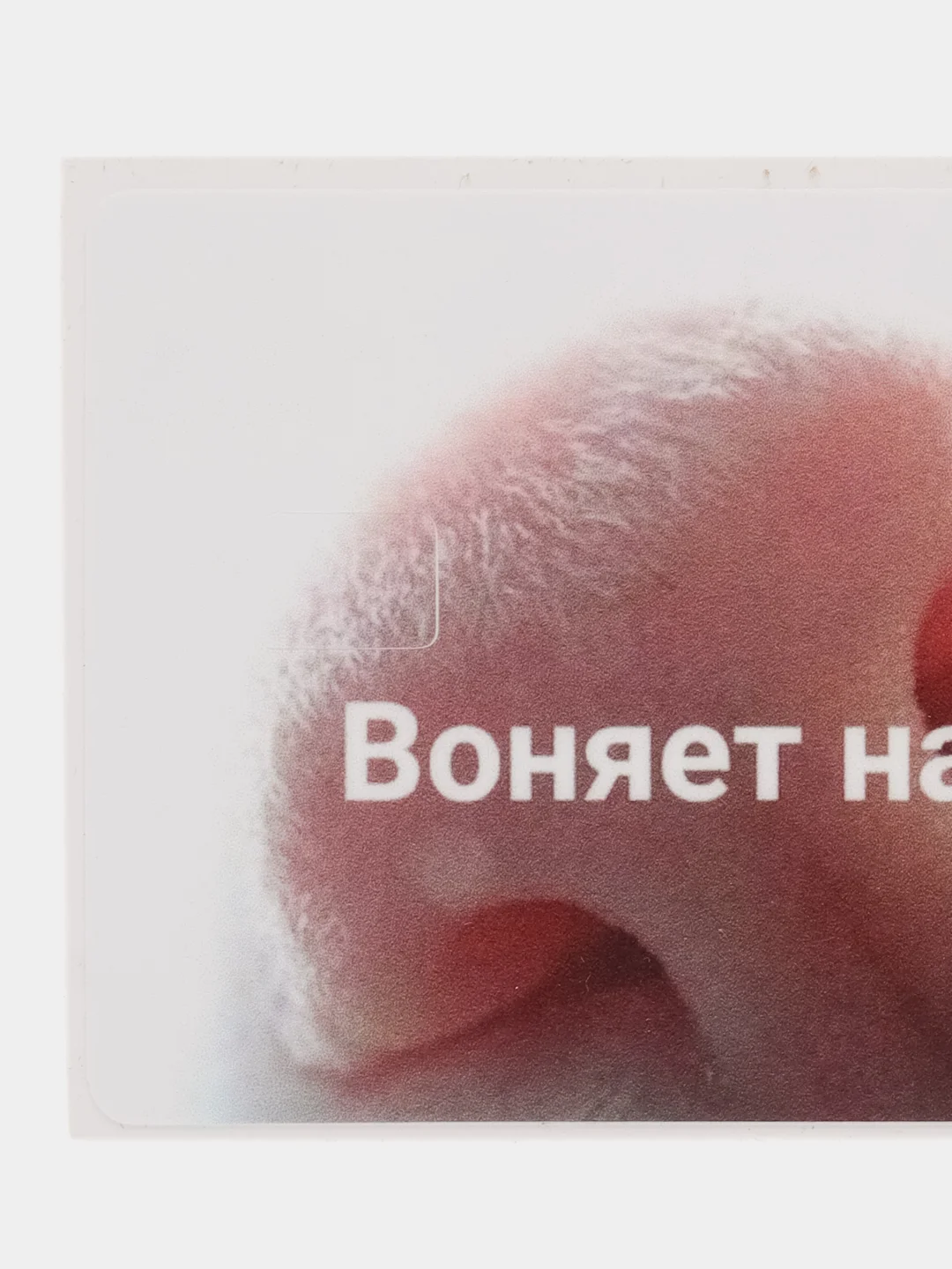 Тёмно-розовый наклейки на банковскую и другие пластиковые карты с персонажами из мемов