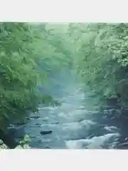 Лесной зеленый коврик для мыши, тканевый, большой