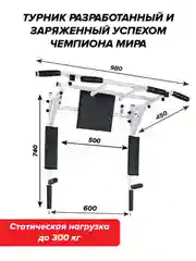Турник Absolute Champion Центрл Спорт белый с черными ручками разборный Aktiv, 3 в 1