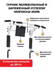 Турник Absolute Champion Центрл Спорт белый с черными ручками разборный Aktiv, 3 в 1