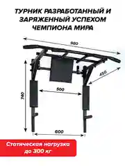 Турник 3 в 1 Absolute Champion Центрл Спорт черный с черными ручками разборный Aktiv