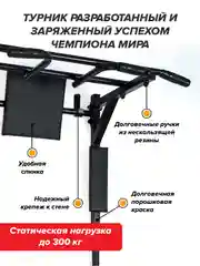 Турник 3 в 1 Absolute Champion Центрл Спорт черный с черными ручками разборный Aktiv