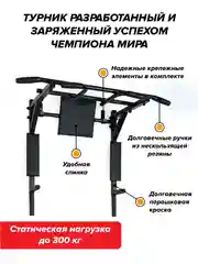 Турник 3 в 1 Absolute Champion Центрл Спорт черный с черными ручками разборный Aktiv