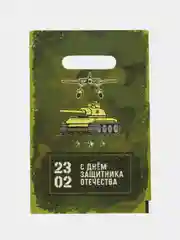 Лайм пакет подарочный "23 февраля", полиэтиленовый с вырубной ручкой, 20 х 30 см, 30 мк