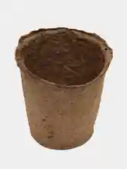 Торфяной горшок, 100 мл, 6 х 6 см, 10-20 штук