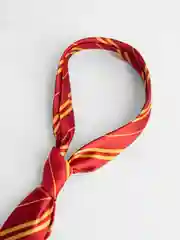 Алый галстук по мотивам фильмы "Гарри Поттер" (Harry Potter)