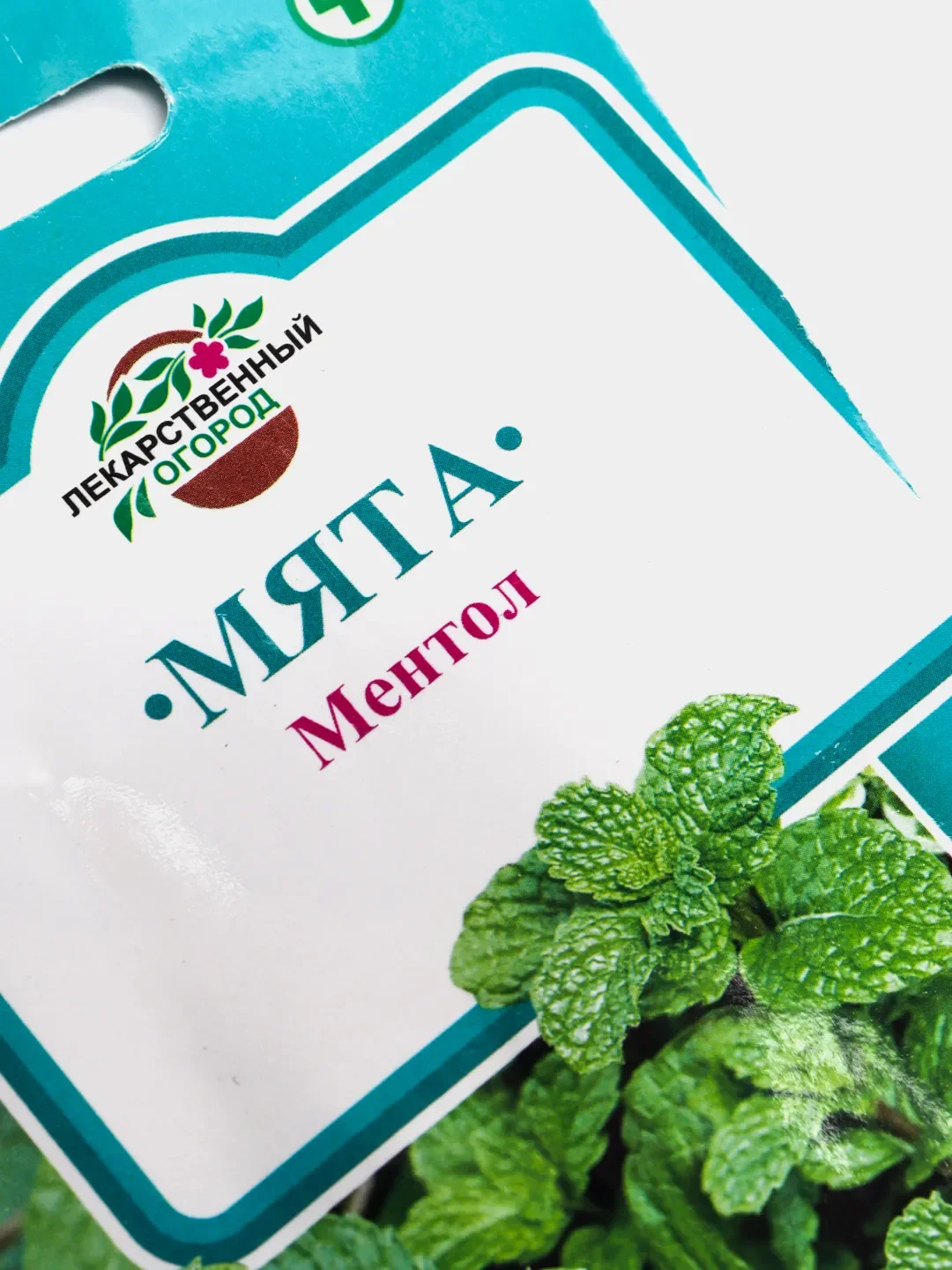 Мята Ментол (семена)