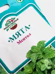 Мята Ментол (семена)
