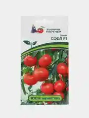 Софа томат Партнёр