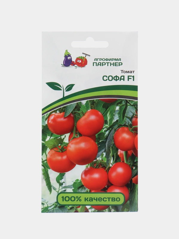 Софа томат Партнёр