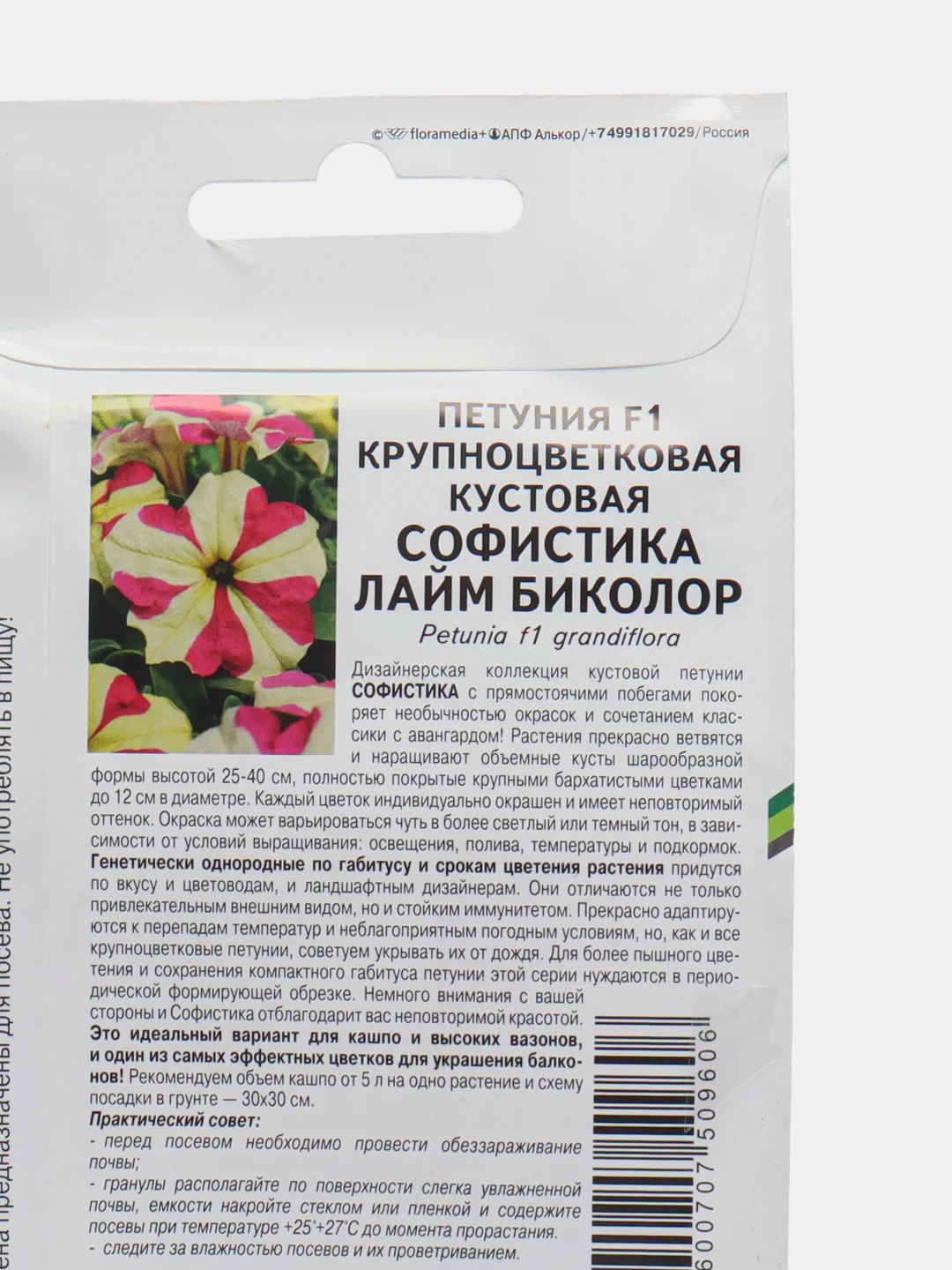 Софистика лайм биколор - петуния крупноцветная, Партнёр