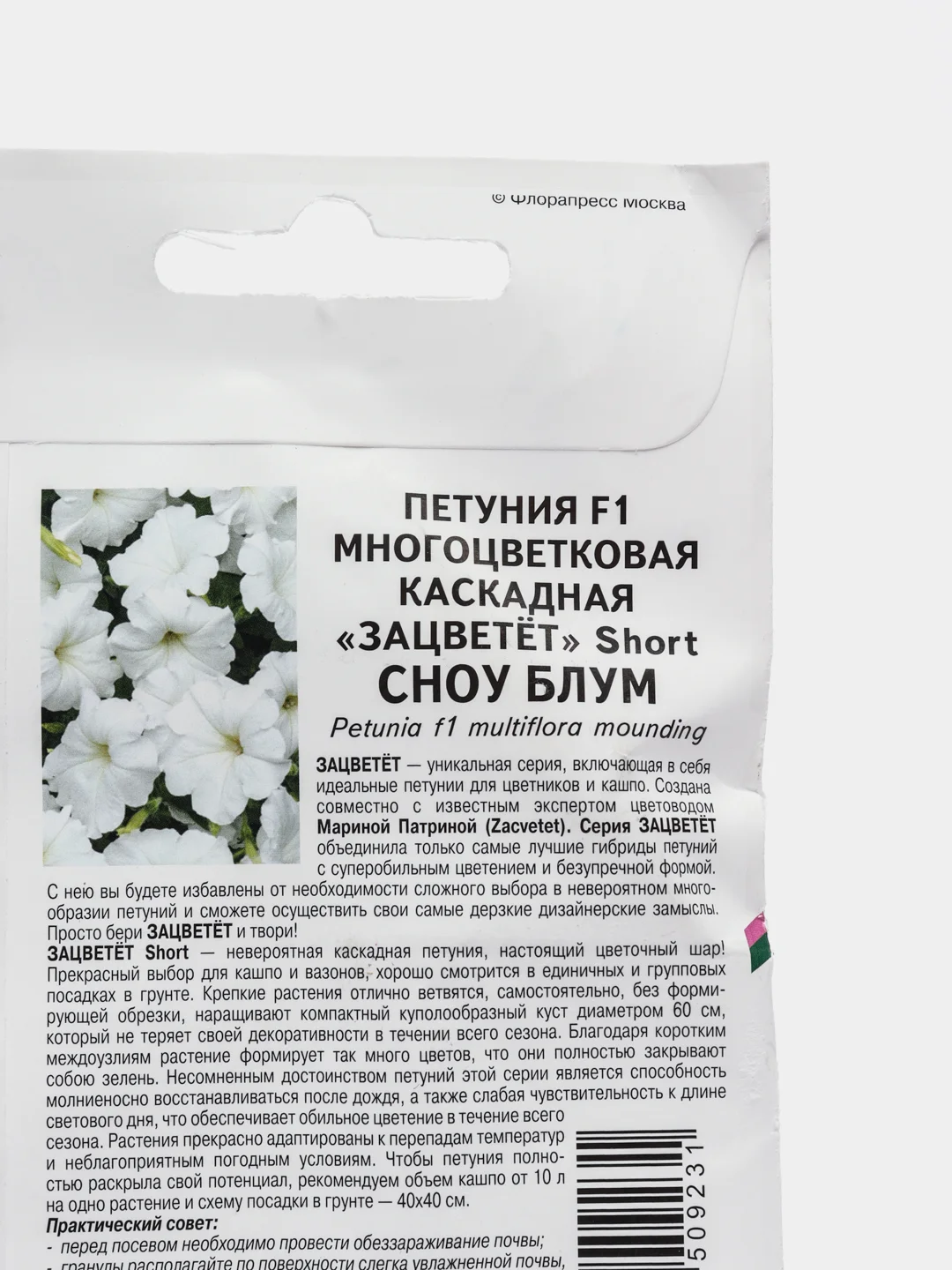 Сноу блум - петуния многоцветковая каскадная, Партнёр