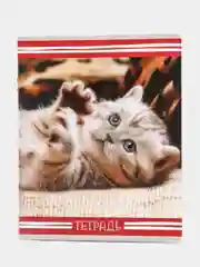 Белый тетрадь в клетку "Котята", 12 листов