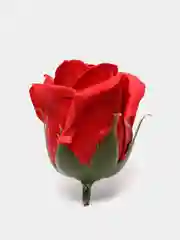 Бирюзовый подарочный набор "Мыльные цветы", вспененное мыло, 50 штук