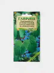 Семена  Виноград Приречный "Зеленая Гора" (Партеноциссус пятилисточковый)