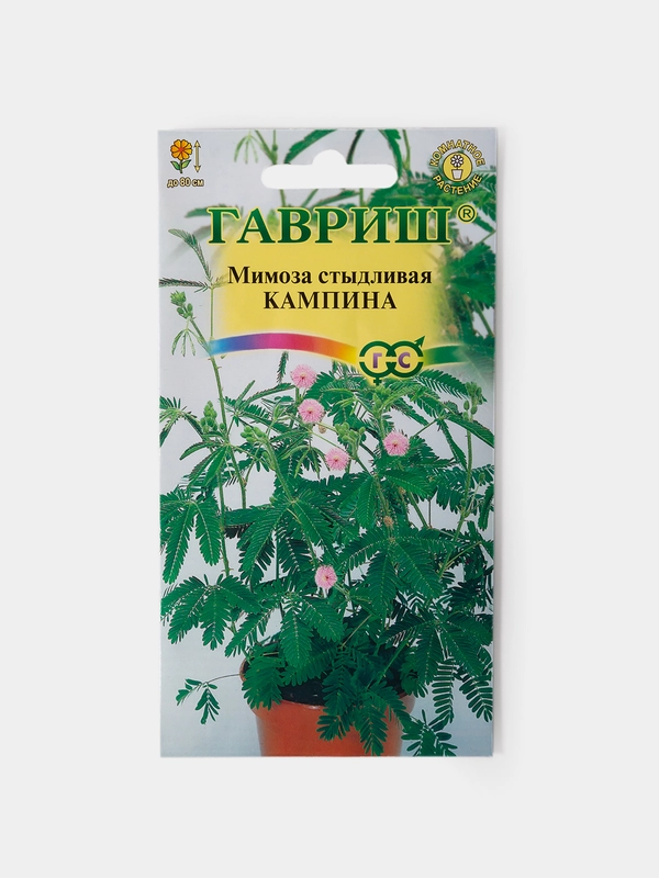 Семена Цветов Мимоза Стыдливая Кампина