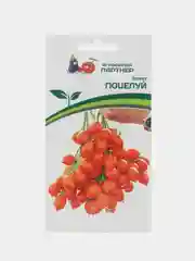 Томат Поцелуй Партнёр