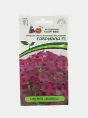 Габриэла - петуния многоцветковая каскадная, Партнёр