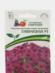 Габриэла - петуния многоцветковая каскадная, Партнёр