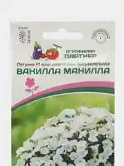 Ванилла манилла - петуния многоцветковая полуампельная Партнёр
