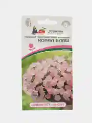 Корал блаш - петуния многоцветковая каскадная, Партнёр