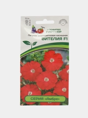 Вителия - петуния многоцветковая, каскадная, Партнёр