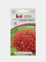 Корал кисс - петуния многоцветковая полуампельная Партнёр
