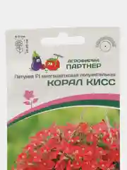 Корал кисс - петуния многоцветковая полуампельная Партнёр