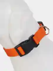 Красный ошейник нейлоновый для собак