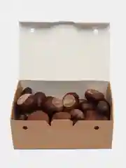 Конский каштан для творчества и поделок
