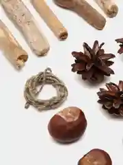 Шишки 10 шт, палки, дрифтвуд, кора дерева, каштаны