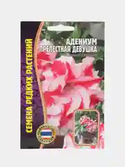 Семена цветов Адениум "Прелестная девушка"