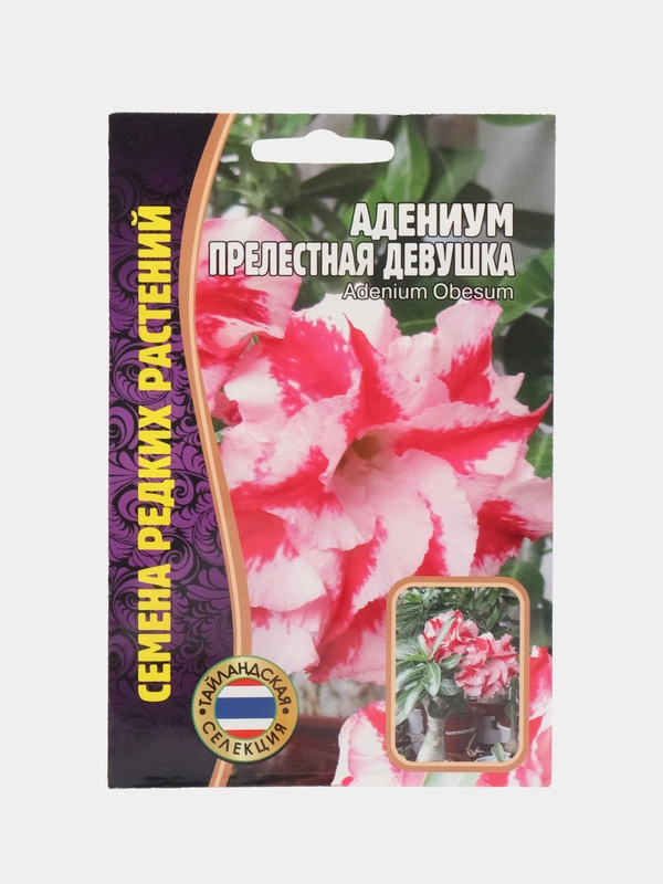 Семена цветов Адениум "Прелестная девушка"