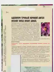 Семена цветов Адениум "Ночной ангел"