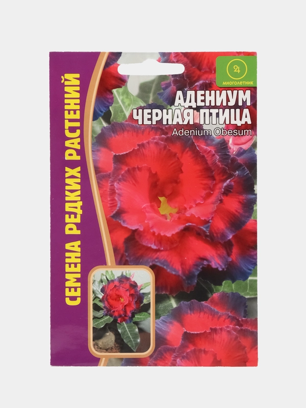 Семена цветов Адениум "Черная птица"