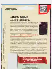 Семена цветов Адениум "Сиам Блюберриз"