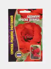 Семена цветов Адениум "Красна девица"