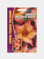 Семена цветов Адениум "Медовый нектар"