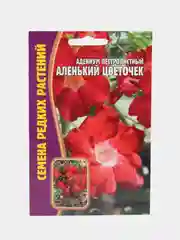 Семена цветов Адениум "Аленький цветочек"
