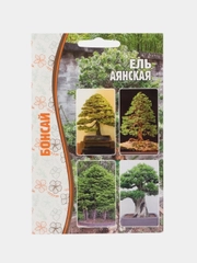 Семена ели "Аянская"