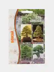 Семена ели "Аянская"