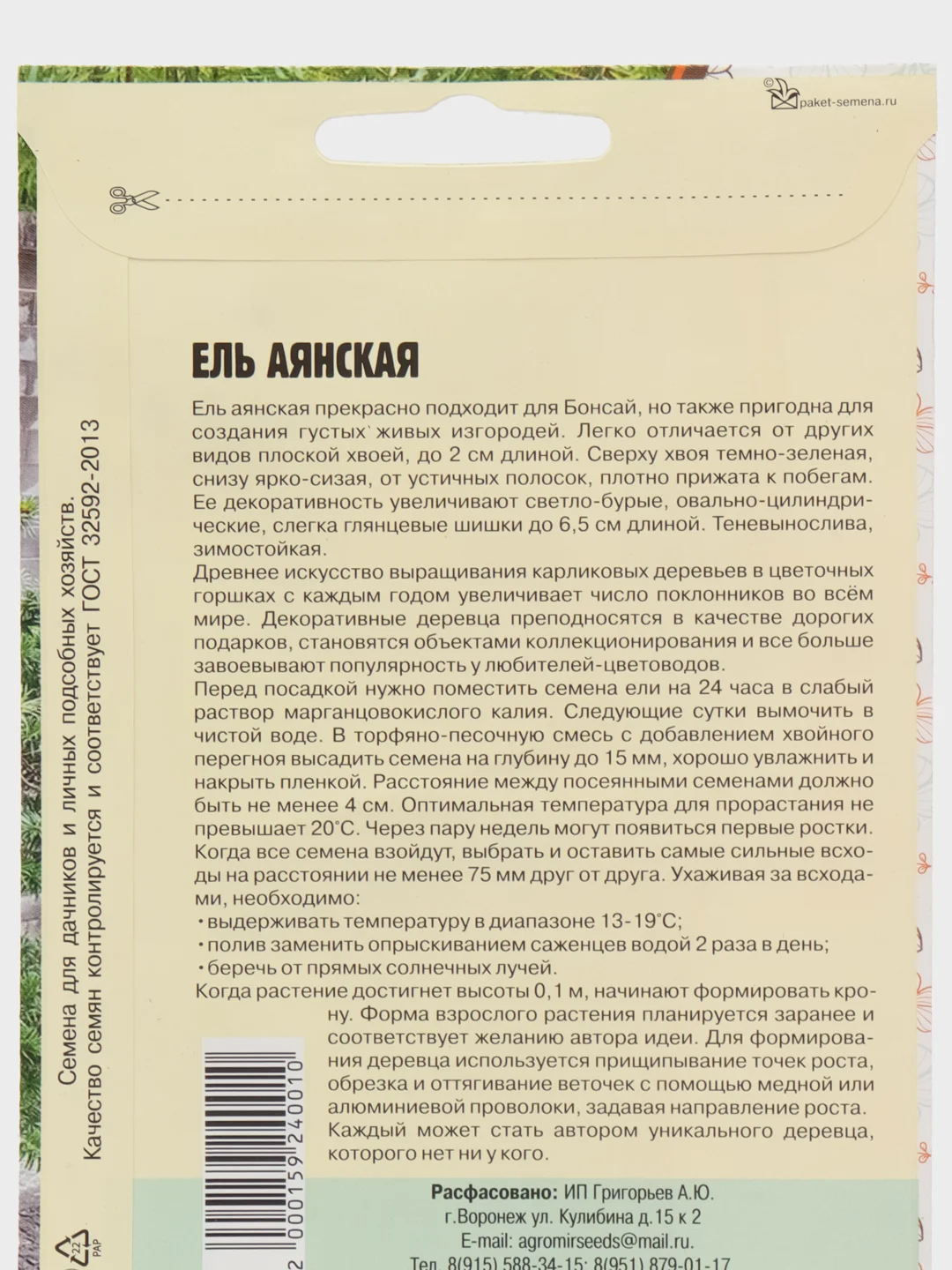 Семена ели "Аянская"