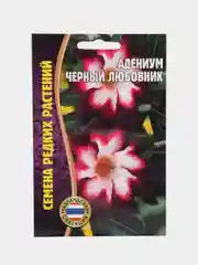 Семена цветов Адениум "Черный любовник"