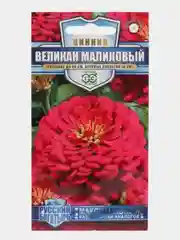 Красный семена цветов Цинния
