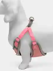 Розовый шлейка для собак