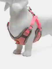 Розовый шлейка для собак