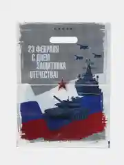 Зеленый пакет с вырубной ручкой 23 февраля 30х40 см, 3 штуки в наборе