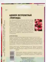 Семена цветов Адениум "Мунгсакда"